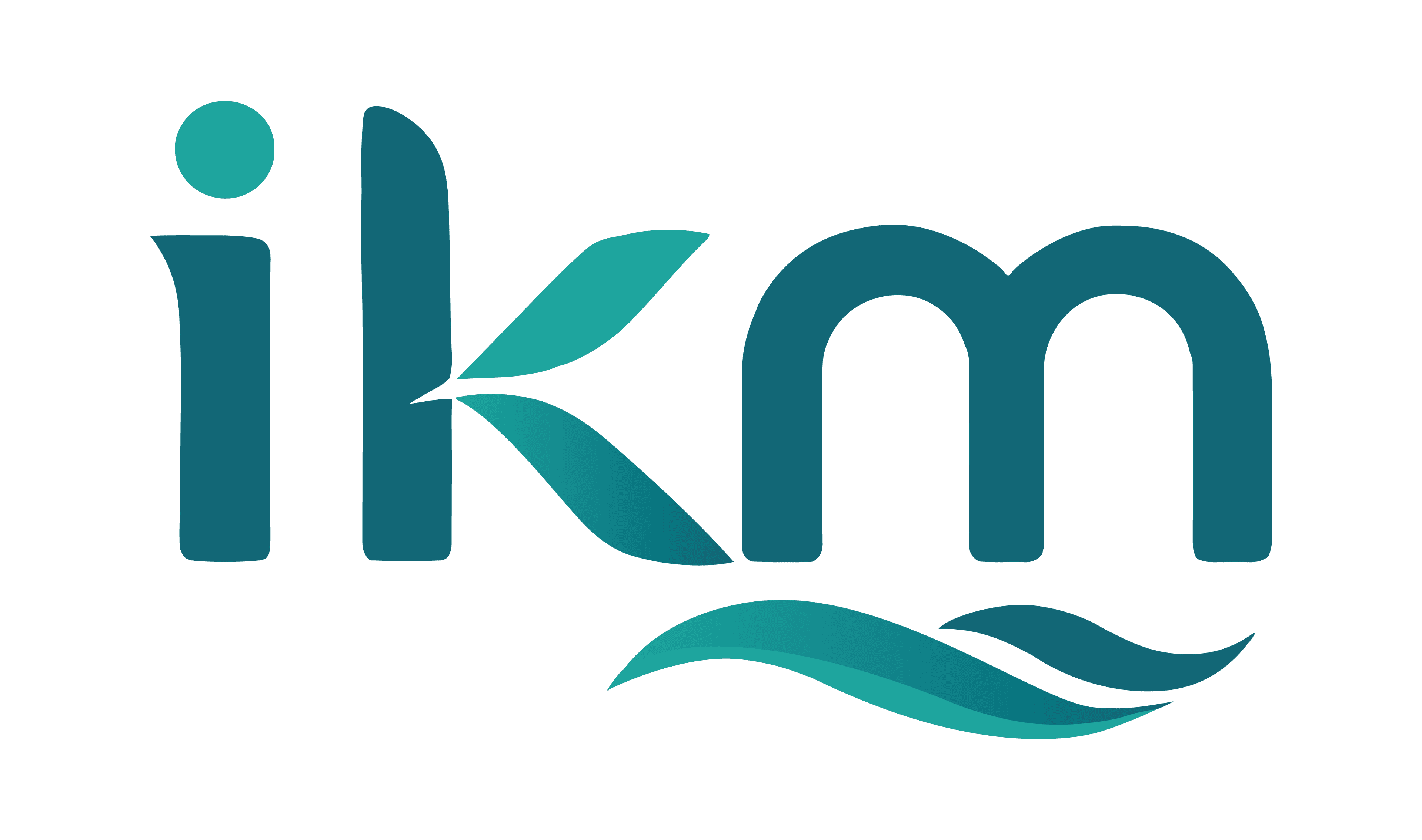 PT IKM